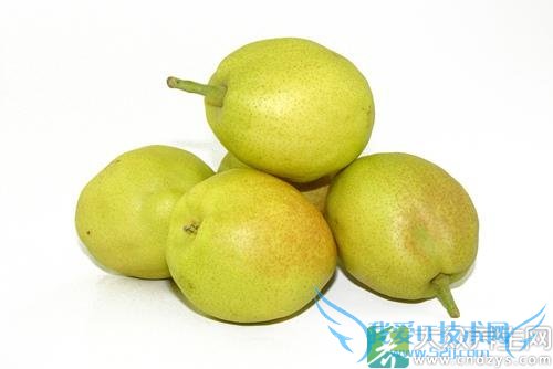 �����ܳ�����