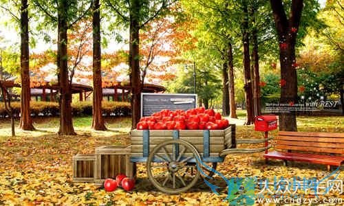 ���ˡ����֡�ѡ�Լ��ں���Ҫ(2)