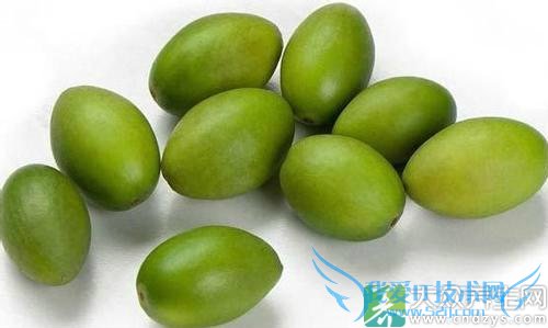 �����ܳ�������