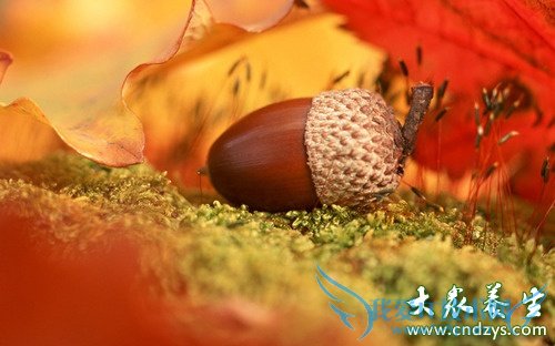 �и����Գ���ʵ��