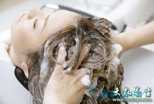 8��������׼��������ϴͷ(4)