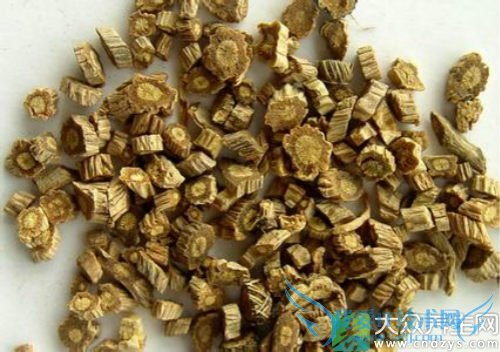 �����ܳԷ�����