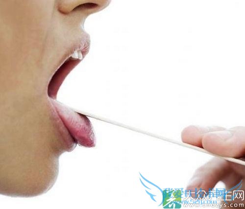 �ʺ����ܰ���������