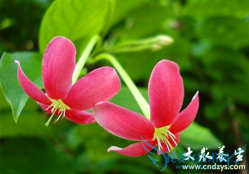 �����ܳ�ʹ������  