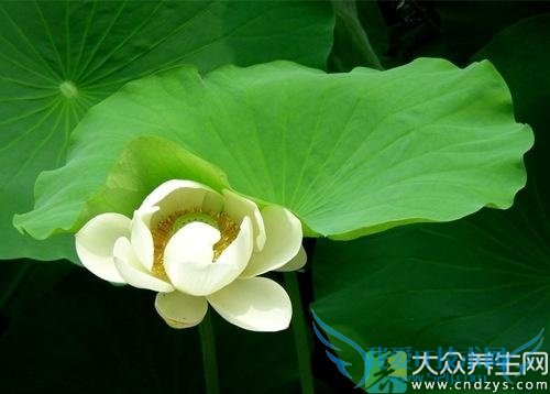 �ļ��������ֳ���������Ϯ