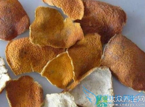 �����ܳԳ�Ƥ��