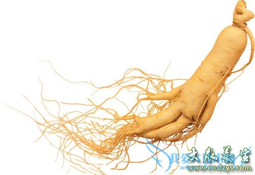 ���˿�˥�ϵ����󱣽�Ӫ����(5)