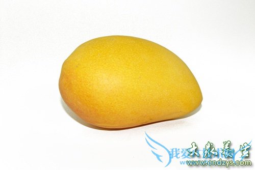 �����ڿ��Գ�â����