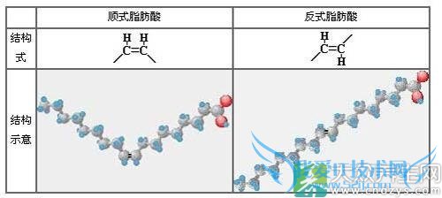 ������ʳ������������������һ����(1)