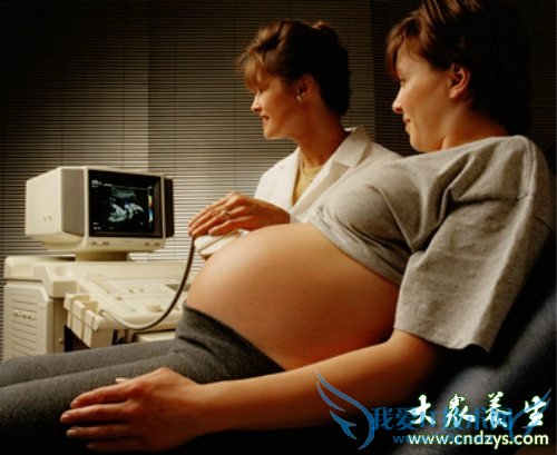 b�����Կ�̥���Ա���