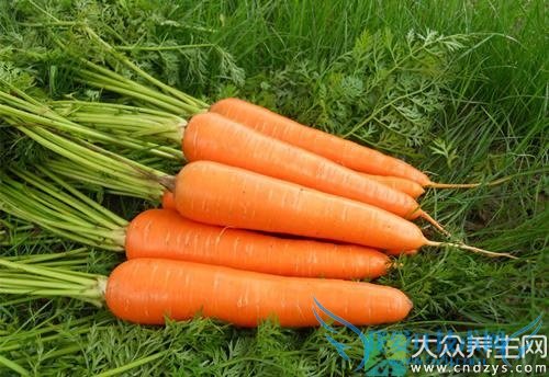 �����ܳԺ��ܲ��� 