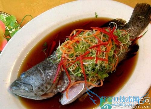 �������ܳ�ʯ������