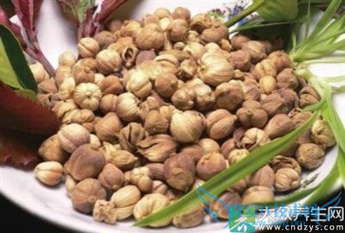 ���ػ�����ʳ�ö�ޢ��