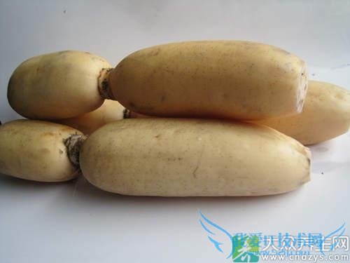 ���¾����Գ���ź��