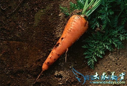 ������ǧ��������6��ʳ�(6)