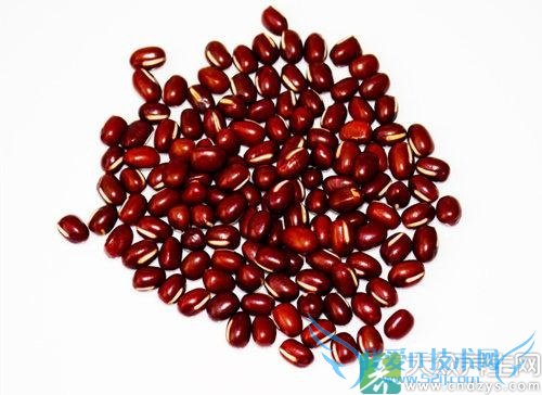 ��Ѫѹ�ܳ�С���� 