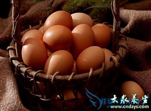 Ů��һ��Ҫ��3�ֵ�(1)