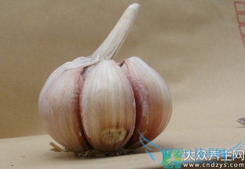 �����ܳ���ͷ��  