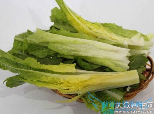 �����ܳ�ݫ��Ҷ��