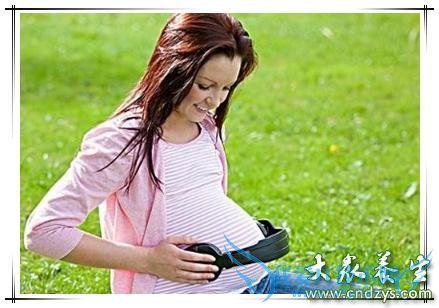 ����̥�̷�����ô����������Ҫ�˽�һ��Ŷ(1)