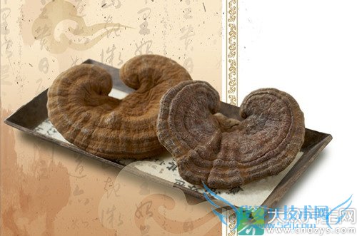 �����ܳ���֥��  