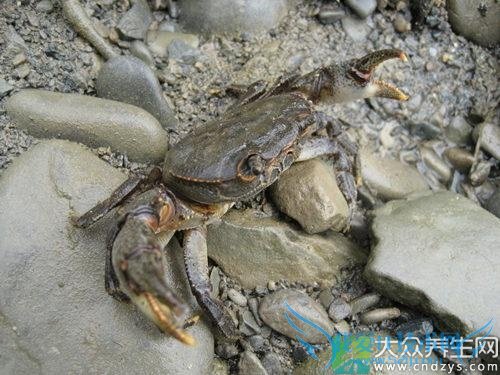 �����ܳԺ�з��