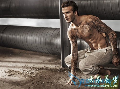 ���ģ����˵��ߴ���Ѫ��Ҫ��(5)