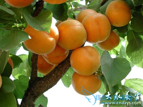 ����������7��ˮ��(3)