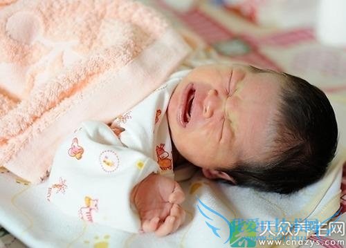 ����������ԭ��