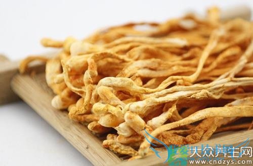 �����ܳԳ�ݻ���