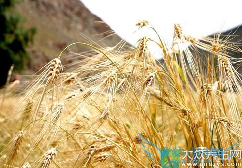 �����ܳ�������