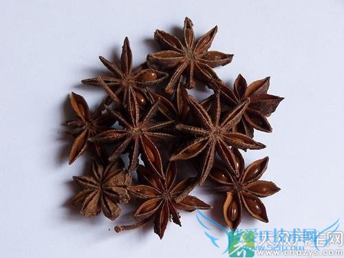 �������ܳ԰˽���