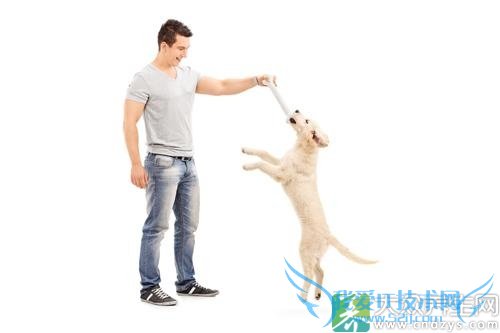 ��������Ҫ���޵������ź�(1)