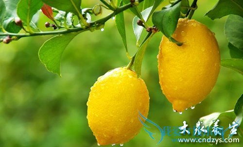 6�����������ڲ�������(3)