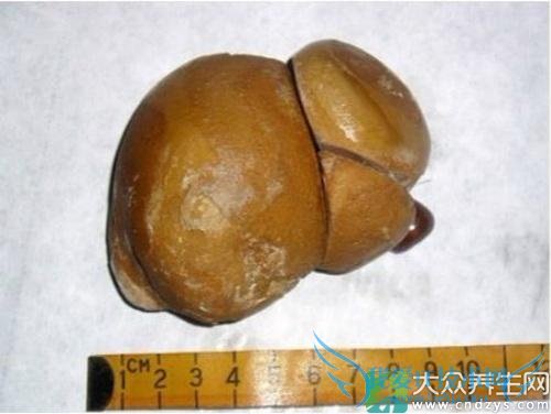 ����ʯ���Ժ�ơ����