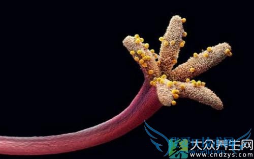 �����ܳԻ�����