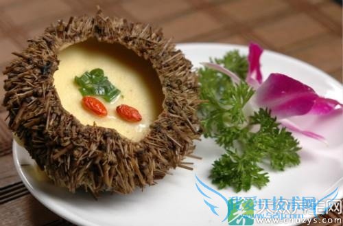 �����ܳԺ�����