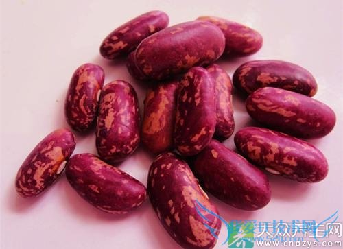 ��Ѫѹ�ܳ�ܿ����