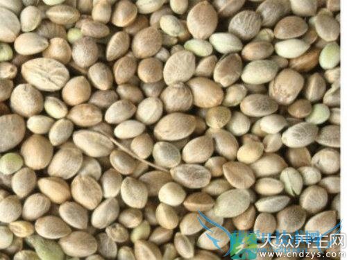 �и��ܳԻ�������