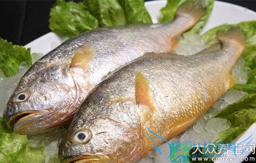 �����ܳԻ����� 