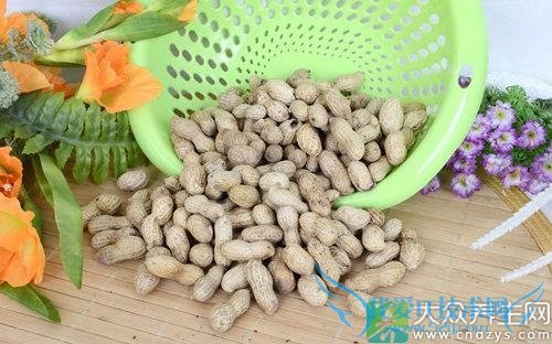 Ƥ�������ܳԻ�����