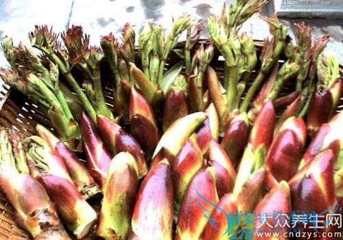  ��Ѫѹ�ܳԴ���ѿ��