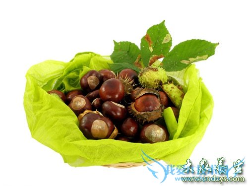 �����ܳ԰�����