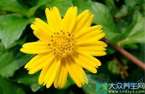 �и��ܳ�Ұ����