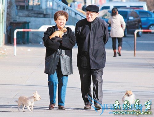 ����ǰ׼�ְ�10����ϰҪ�ĵ�(5)