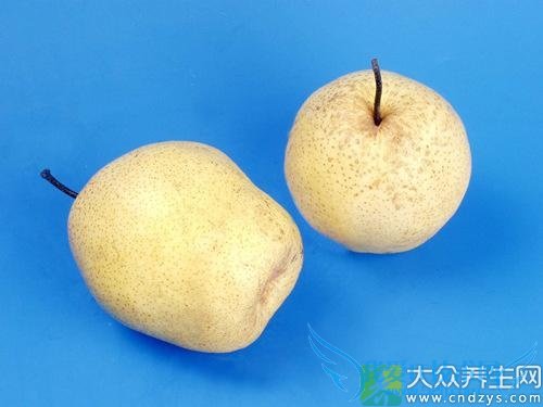 �и��ܳ�ѩ������