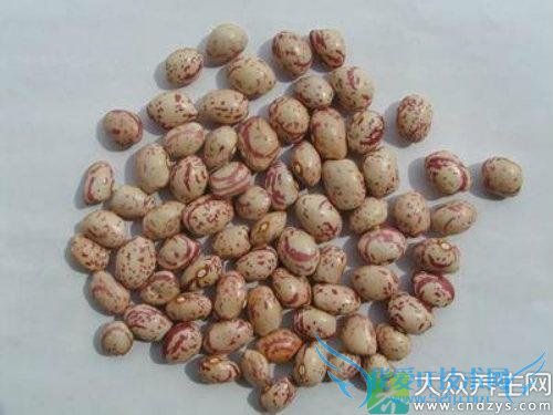 �����ܳ�ܿ����