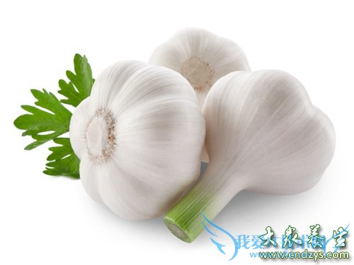 ���տȻ�����ʳ��������Ʒ(1)