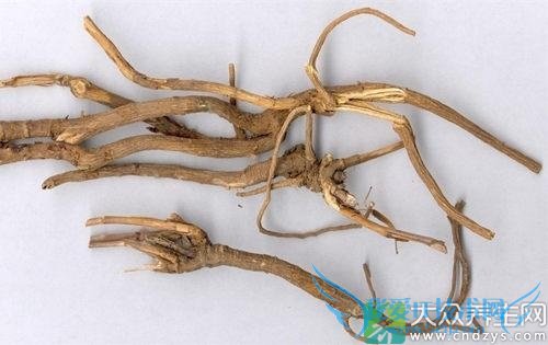 �����ܳԲ����