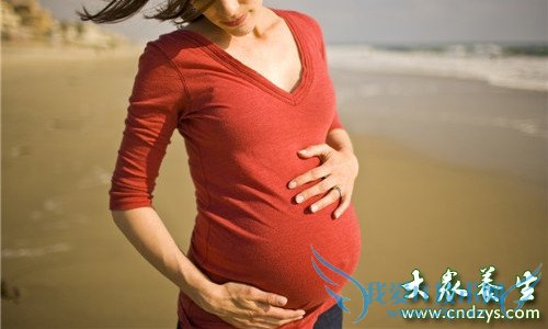 ���̺��ز����С��